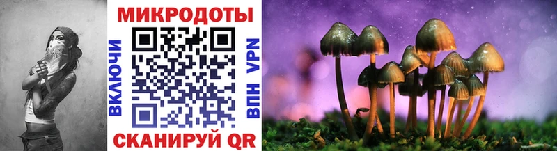 мега как зайти  купить закладку  Тында  Галлюциногенные грибы Psilocybe 
