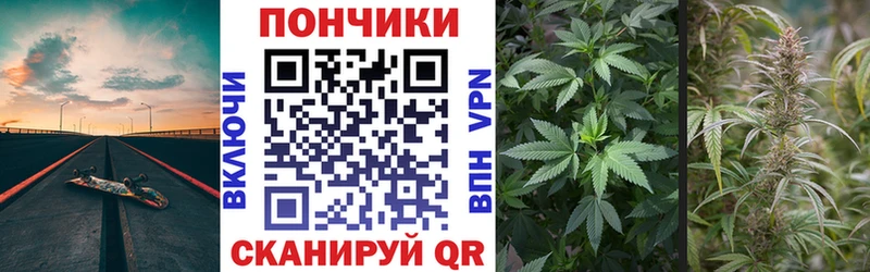 МЕГА tor Тында Канабис SATIVA & INDICA закладка